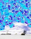cmb_sky1.jpeg