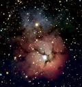 crull-trifid.jpg
