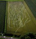 cornfieldphst_450Ã—486.jpg