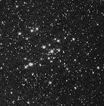 m41.jpg
