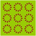 zoptic10.gif