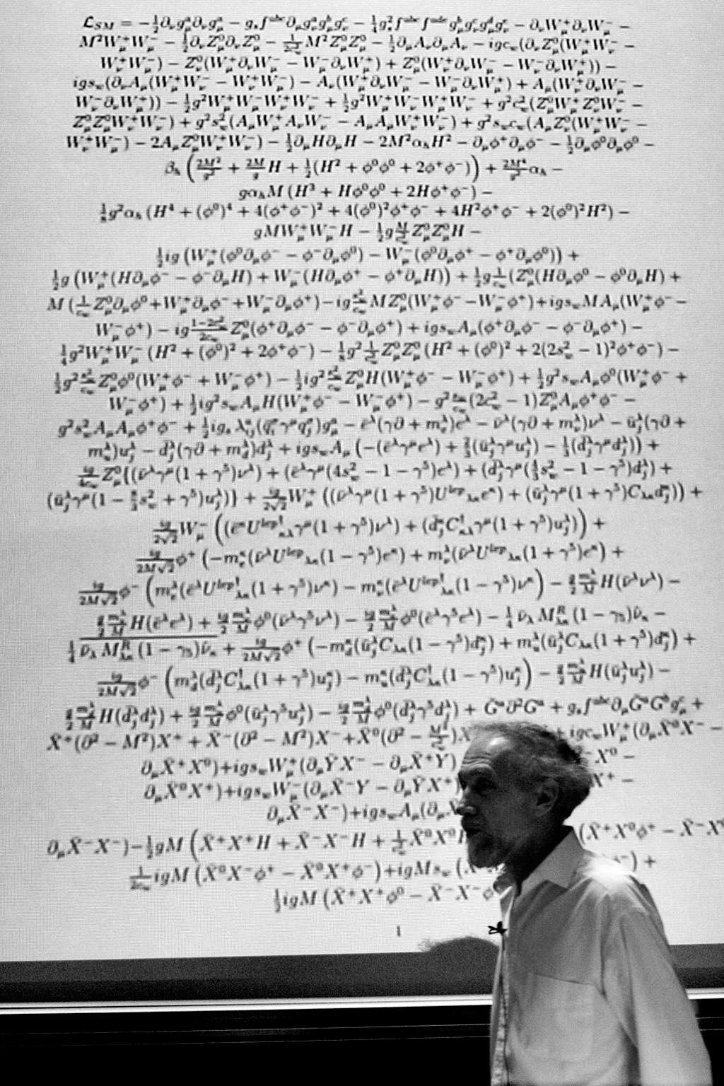 “Jednostavna” formula Standard Model Langrangian