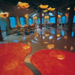 underwater_eliat07