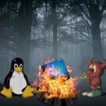 Linux and FreeBSD campfire