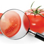 Bezbednost hrane Food-Safety-Pic