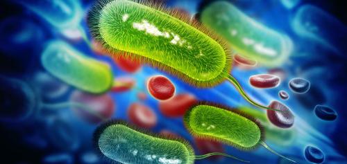 Antibiotici Vs Bakterije | Đorđe Tadić