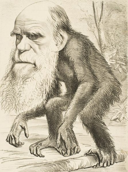 Čarls Darvin 10 Čarls Darvin 4