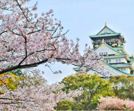 Priča o uspehu – Japan (II deo) 1 Priča o uspehu – Japan (II deo) 1
