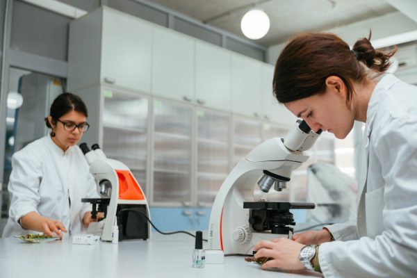 Petnica: Konkurs za talentovane osnovce! 7 Petnica: Konkurs za talentovane osnovce! 1