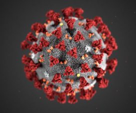 Korona virus - COVID-19 (korisni linkovi) 1 Korona virus - COVID-19 (korisni linkovi) 1