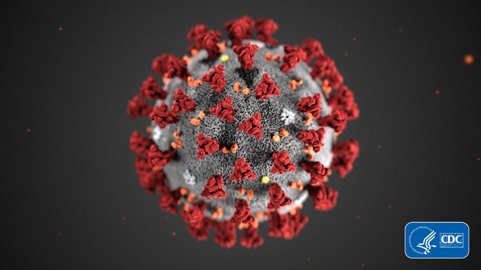 Korona virus - COVID-19 (korisni linkovi) 13 covid-19
