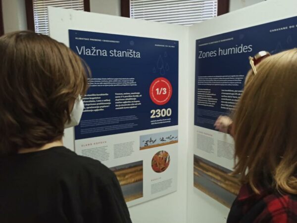 Petnica: Vrh svetske nauke u Petnici uprkos svemu 28 Petnica: Vrh svetske nauke u Petnici uprkos svemu 3