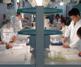 Petnica: Konkurs za talentovane osnovce! 1 Petnica: Konkurs za talentovane osnovce! 1